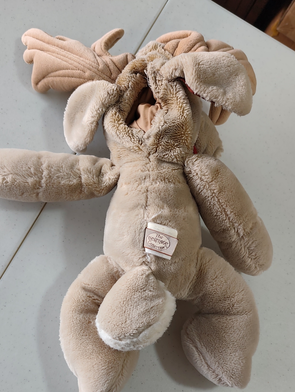 Moose Wrinkle - Picture 2 of 3
